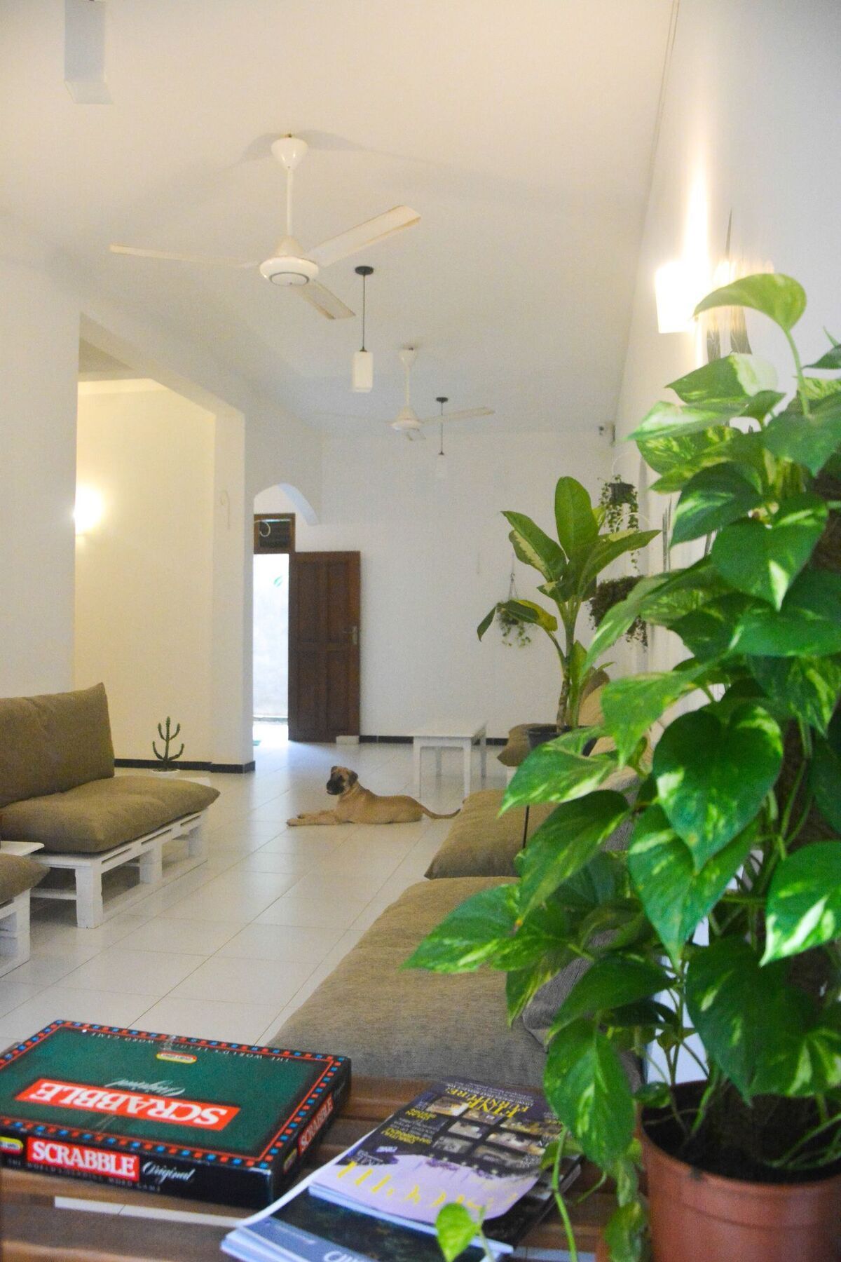 Bed & Bicycle Hostel Dehiwala-Mount Lavinia Ngoại thất bức ảnh
